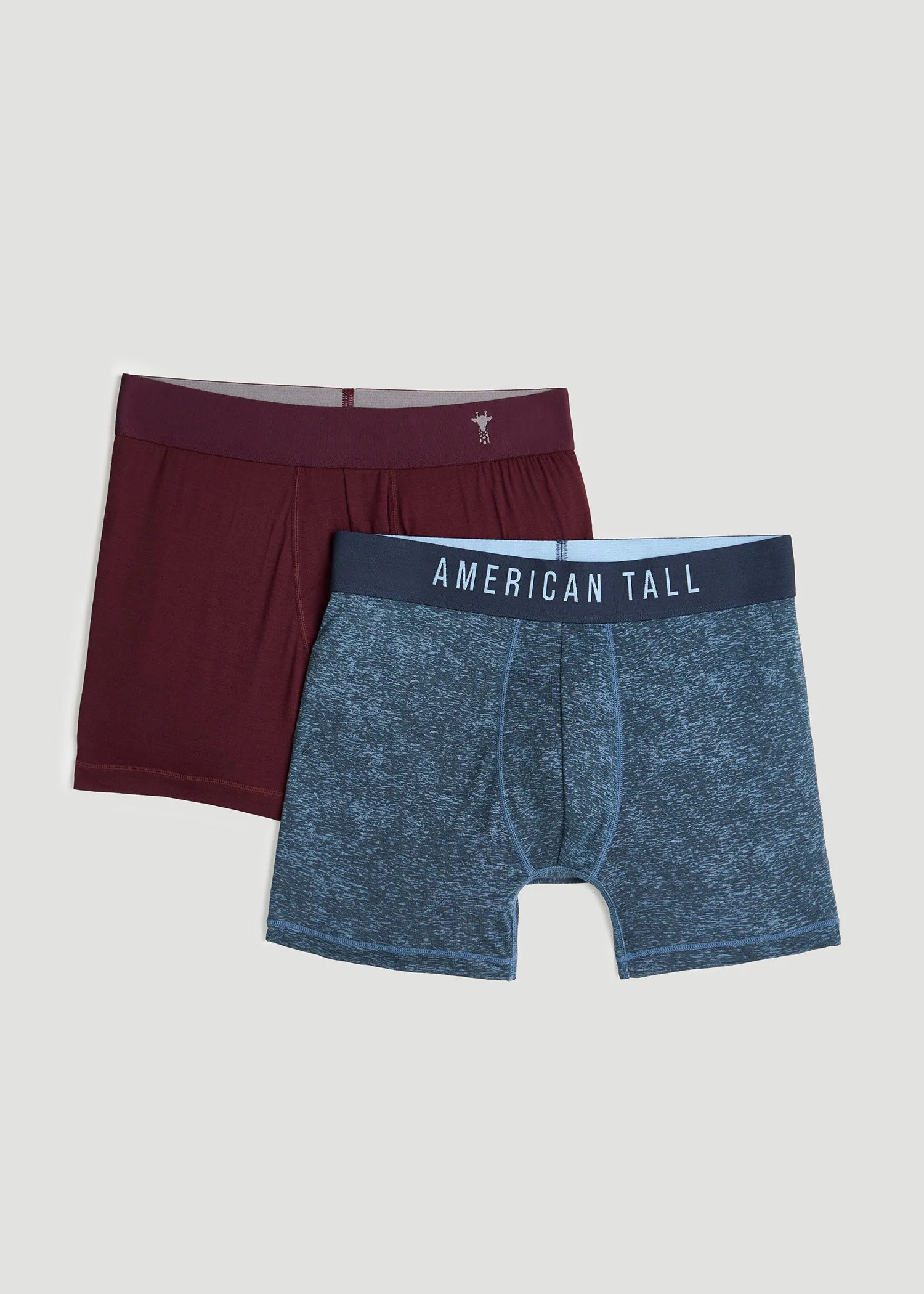 Micro Modal Tall Men's Boxer Briefs in Lake Print & Aubergine  (2-Pack)